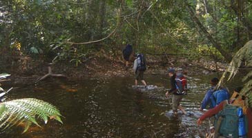 Multi days hike in Khao Yai