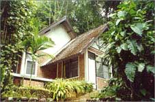 Phlio 104 bungalow