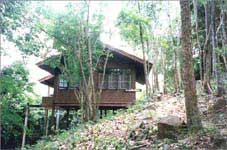 Kaeng Krachan 202 bungalow