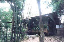 Kaeng Krachan 206 bungalow
