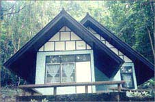 Cha Mao 107 bungalow