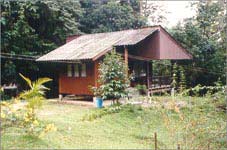 Khit Chakut 104 bungalow