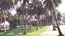 Chang park resort