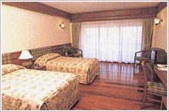 Deluxe room in Chalet