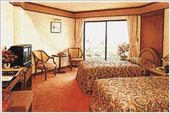 Superior room in tower wing