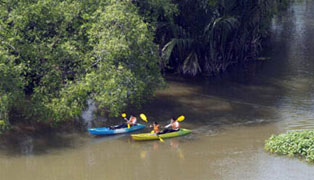Canoeing on Ta Chin river, Nakhon Pathom