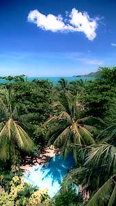 Lush tropical garden on the beach - Samui island