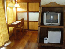 TV and refrigerator