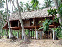 Baan Shayhaad