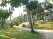 Scenic road on the island