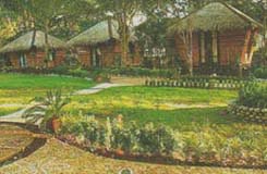 Cottages