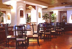 Garden Cafe