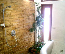 Grand deluxe bath room