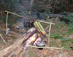 Overnight jungle camping