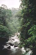 Koh Chang - Aug 2002