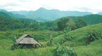 A farm hut in the hills