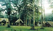 Sein Ye forest camp