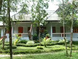 Bungalow room at the headquarters area