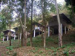Accommodation bungalows