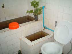 Toilet and shower room