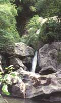 A waterfall in the park