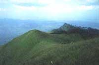 A mountains scene in the park