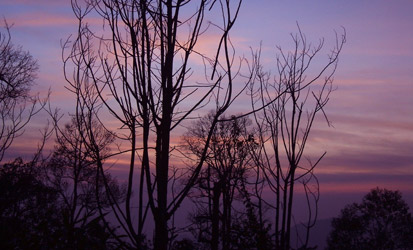 Just after sun set in Doi Phu Kha national park, Nan