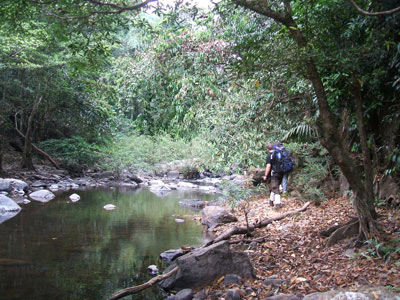Hiking the trail in Khao Yai national park