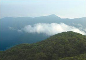 View from Khao Luang mountain peak - Khao Luang national park