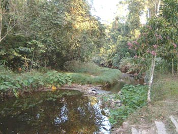 At Klong E-Tow station