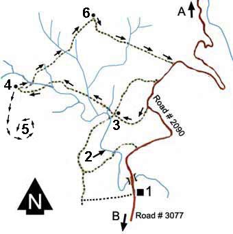 Map of central part of Khao Yai national park