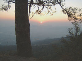 Sun rise view from Nok An cliff - Phukradung