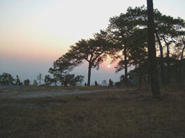 Sun set view from Mak Dook cliff - Phukradung