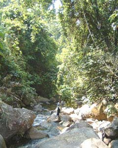The stream of Trok Nong waterfall