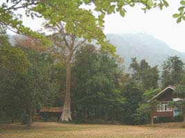 View of Khao Luang mountain from the headquarters