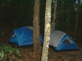 First night camp