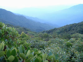 Another view from the peak