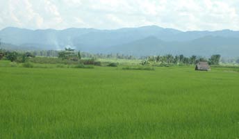 Rice paddy fields and hills along the road from Mae Sariang to Mae Samleab