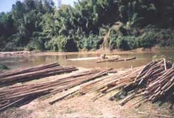 Bamboo rafting