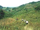 Nature walk in southern Shan state