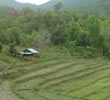 A village farm in the mountains