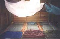 Village home stay bed