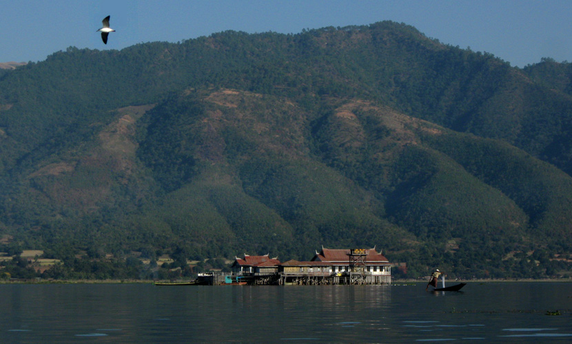 Rowing the boat by one leg on Inle lake, Shan state