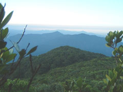 A view from the peak