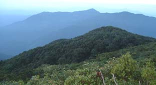 A view from the 1835 meter summit