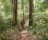 Walking Sanepong to Laiwo village